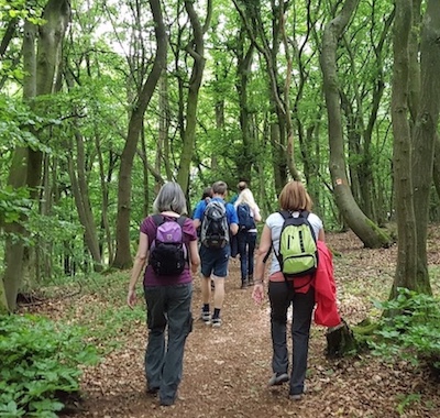 Wandern-im-Siebengebirge